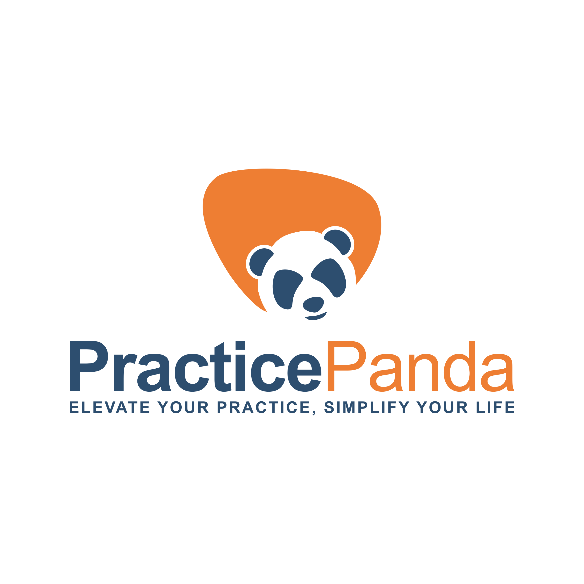 Practice Panda